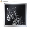 VXin WXMA-19 Decoração de casa Moldura de vidro espelhada Cheetah Wall Art Cristal Porcelana Pintura Espelho Arte de Parede