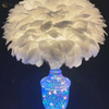 Candeeiro de mesa de vidro de penas lindo de fornecimento de fábrica com LED para quarto