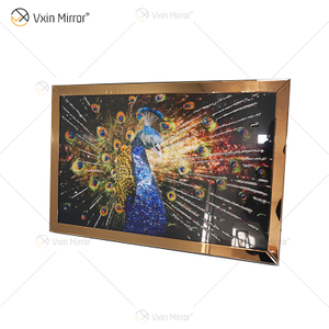 Vxin WXMA-56 Cristal Porcelana Pintura Resina Moldura Coberta de Pavão Espelho Decorativo Arte de Parede