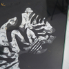 VXin WXMA-22 Decoração de casa Moldura de vidro espelhada Tiger Wall Art Cristal Porcelana Pintura Espelho Arte de Parede